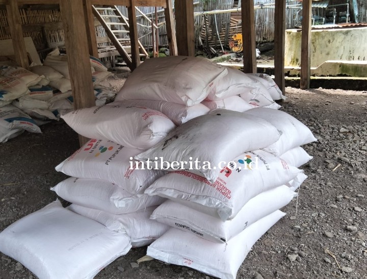 Petani Desa Taring Kecamatan Tompobulu Menjerit, Harga Pupuk Cukup Tinggi